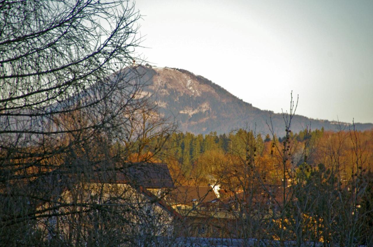 Apartment Bad Reichenhall Exterior foto